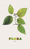 Knight_Flora