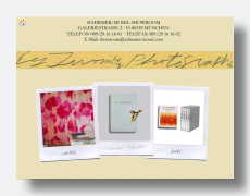 Photographs by Cy Twombly in the Schirmer/Mosel gallery...